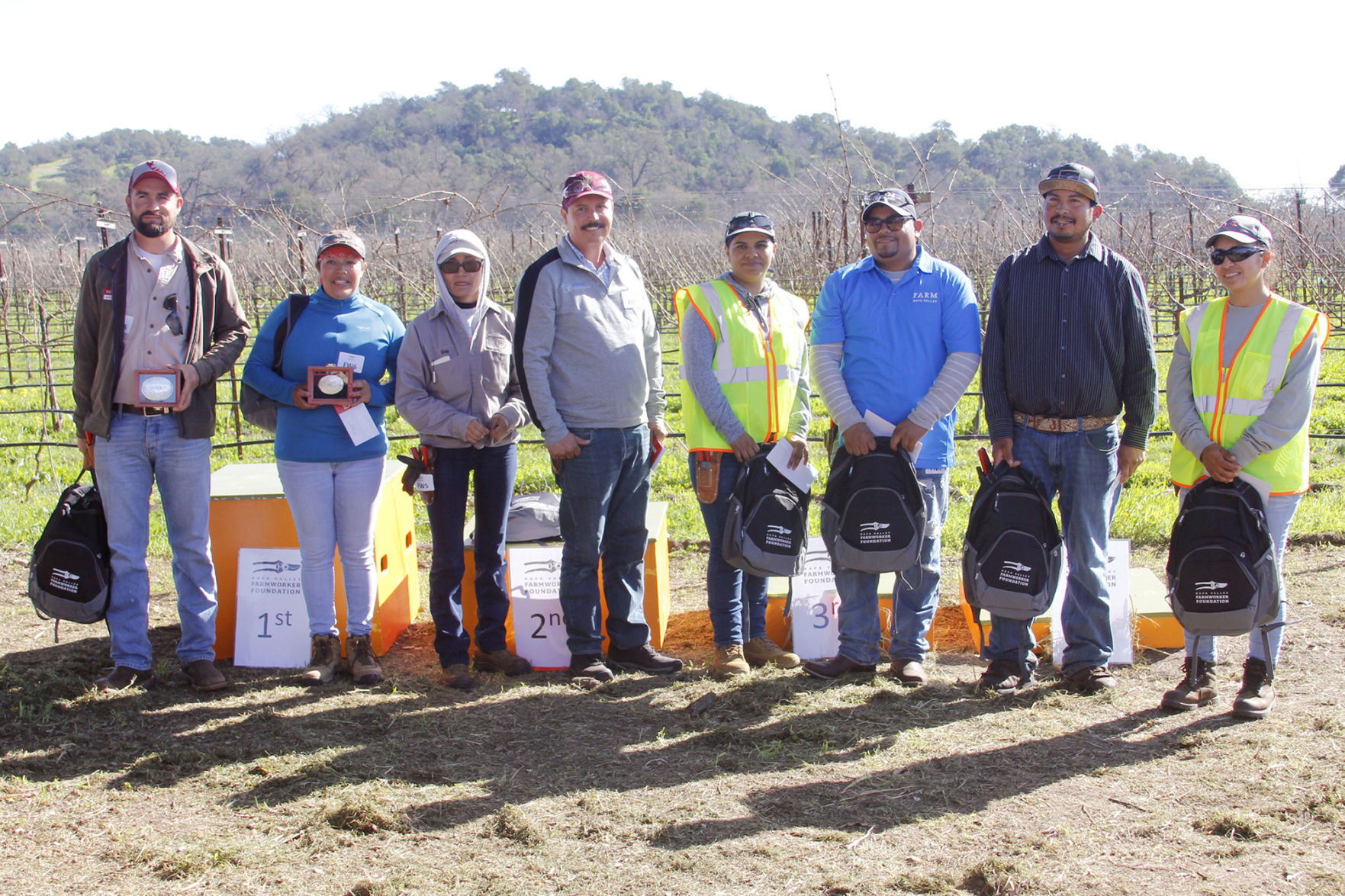 Napa County Pruning Contest